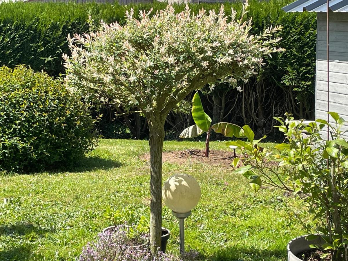 Le Doux Refuge Bed and Breakfast Esquay-sur-Seulles Eksteriør billede